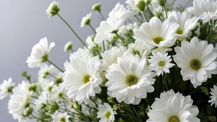 Obraz premium Elegant bouquet of pristine white flowers