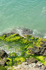 Virgin beach in the Caribbean. Turquoise blue beaches, with cliffs and vegetation