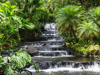 Tabacon hot springs waterfall in La Fortuna, Costa Rica in the jungle