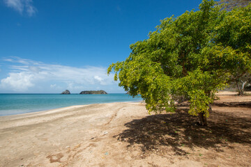 Virgin beach in the Caribbean. Turquoise blue beaches, with cliffs and vegetation