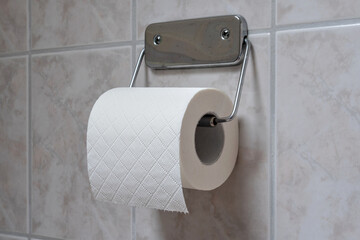 roll of toilet paper in holder on tiled wall