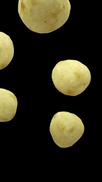 Potatoes are falling into transparent space on black background. Seamless Looped Vertical Video