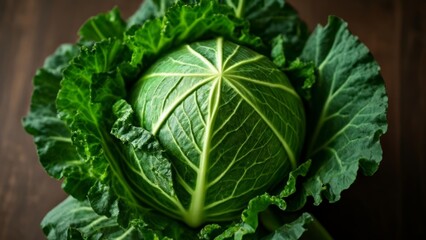 Fototapeta premium Freshly harvested cabbage ready for a healthy meal
