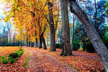 Autumn time in Prince Gardens of Aranjuez