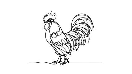 rooster one continuous line drawing  © Ibrahim