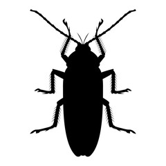 Isolated cockroach icon on white background. Vector black insect silhouette.