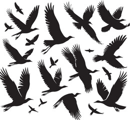 Obraz premium Flying Bird silhouette vectors on a white page high quality high resolution, black color isolated on white background