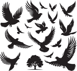 Flying Bird silhouette vectors on a white page high quality high resolution, black color isolated on white background