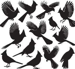cardinal bird silhouette vectors on a white page high quality high resolution, black color isolated on white background