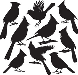 Obraz premium cardinal bird silhouette vectors on a white page high quality high resolution, black color isolated on white background
