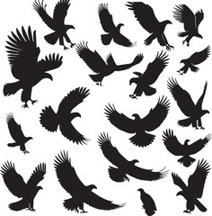 Obraz premium Eagle silhouette vectors on a white page high quality high resolution, black color isolated on white background