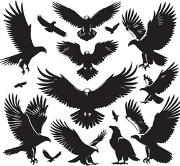 Eagle silhouette vectors on a white page high quality high resolution, black color isolated on white background