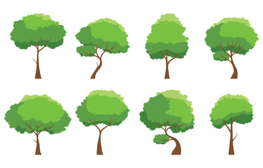 Collection of tree isolated on a white background. Each species of trees. A tree with green leaves. Nature or healthy lifestyle topics. Vector illustration flat design style
