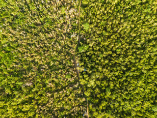 Beautiful Aerial View of Green Grass Hill in Buru Island, Maluku, Indonesia