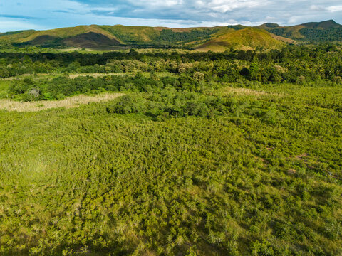 Beautiful Aerial View of Green Grass Hill in Buru Island, Maluku, Indonesia