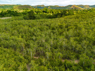 Beautiful Aerial View of Green Grass Hill in Buru Island, Maluku, Indonesia