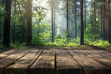 A wooden table sits in a lush, green forest, bathed in the warm light of the sun.