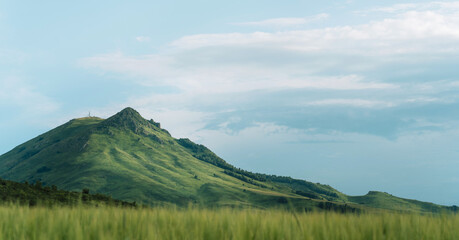 Fototapeta premium Wheat field in front of mountain and cloudy sky.