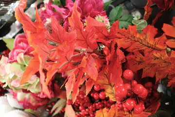 autumn composition of colorful leaves