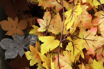 autumn composition of colorful leaves