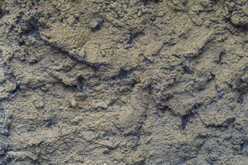 Uneven surface of wall plaster with deep hollows that are clogged with cobwebs, dust and small debris