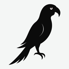 Black Color Parrot Silhouette With White Background