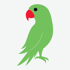 Colourful parrot With White Background