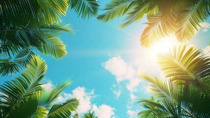 A summer-themed background with lush green palm leaves framing a bright