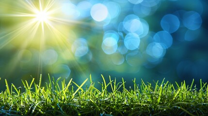Obraz premium Bright Sun Shining on Green Grass with Blue Bokeh Background