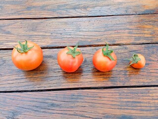 Four fresh, tasty home-grown tomatoes lined up by size. Homemade healthy organic vegetables on...