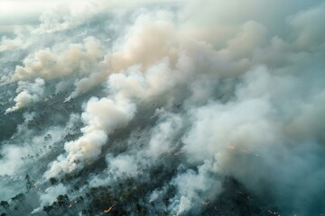 Bird s eye view of white smoke from forest fire polluting air Concept of natural disaster