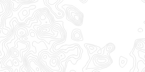 Vector white wave line geography landscape Topo contour map on white background. Geographic mountain relief diagram line wave carve pattern. Topographic world map contour lines map texture.