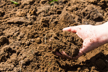 Two human hands hold the ground in close-up against the background of the field and the space for copying. Concept - agriculture and farming