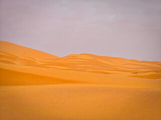 Sand dunes in Sahara desert in Merzougha, Morocco, North Africa