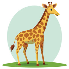 Obraz premium The baby giraffe. 
