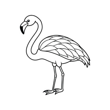 recommend clip art: flamingo vector line art
