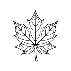 maple leaf vector