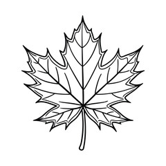 maple leaf vector