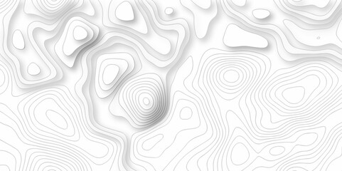 Vector white wave line geography landscape Topo contour map on white background. Geographic mountain relief diagram line wave carve pattern. Topographic world map contour lines map texture.