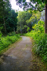 Trilha ao lado de um riacho