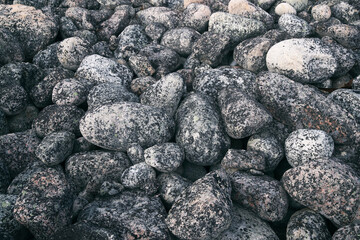 A close-up view of a collection of smooth, gray stones on a beach. The stones are various sizes and shapes, and have a speckled, lichen-covered surface. Smooth gray stones on a beach