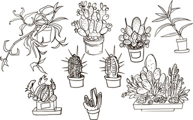Set Line Art illustration home plants drawing floral shape design clip art minimalistic cactus outline ornamental lines coloring book contour stylized flowers isilated on white background round sharp