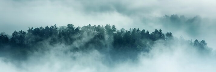 A foggy forest with trees and a misty sky. The atmosphere is calm and serene, with the fog creating a sense of mystery and tranquility. The trees are tall and dense, providing a sense of depth