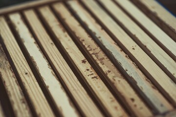 Beekeeper is working with bees and beehives on the apiary.