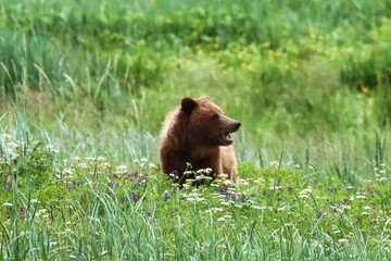 Skagway, Alaska