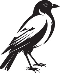 Bird black vector illustration