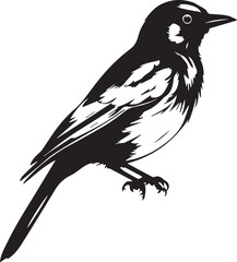 Bird black vector illustration