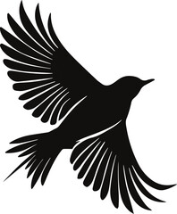 Bird black vector illustration