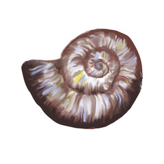 Seashell.eps