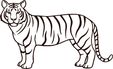 vector illustration for coloring books. Coloring book for children